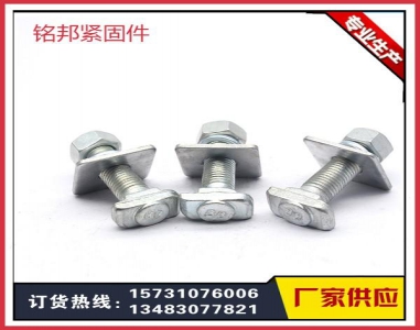 玻璃幕墻T型螺栓